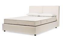 Bett Athena
